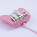 Calina: An Electric Kalimba